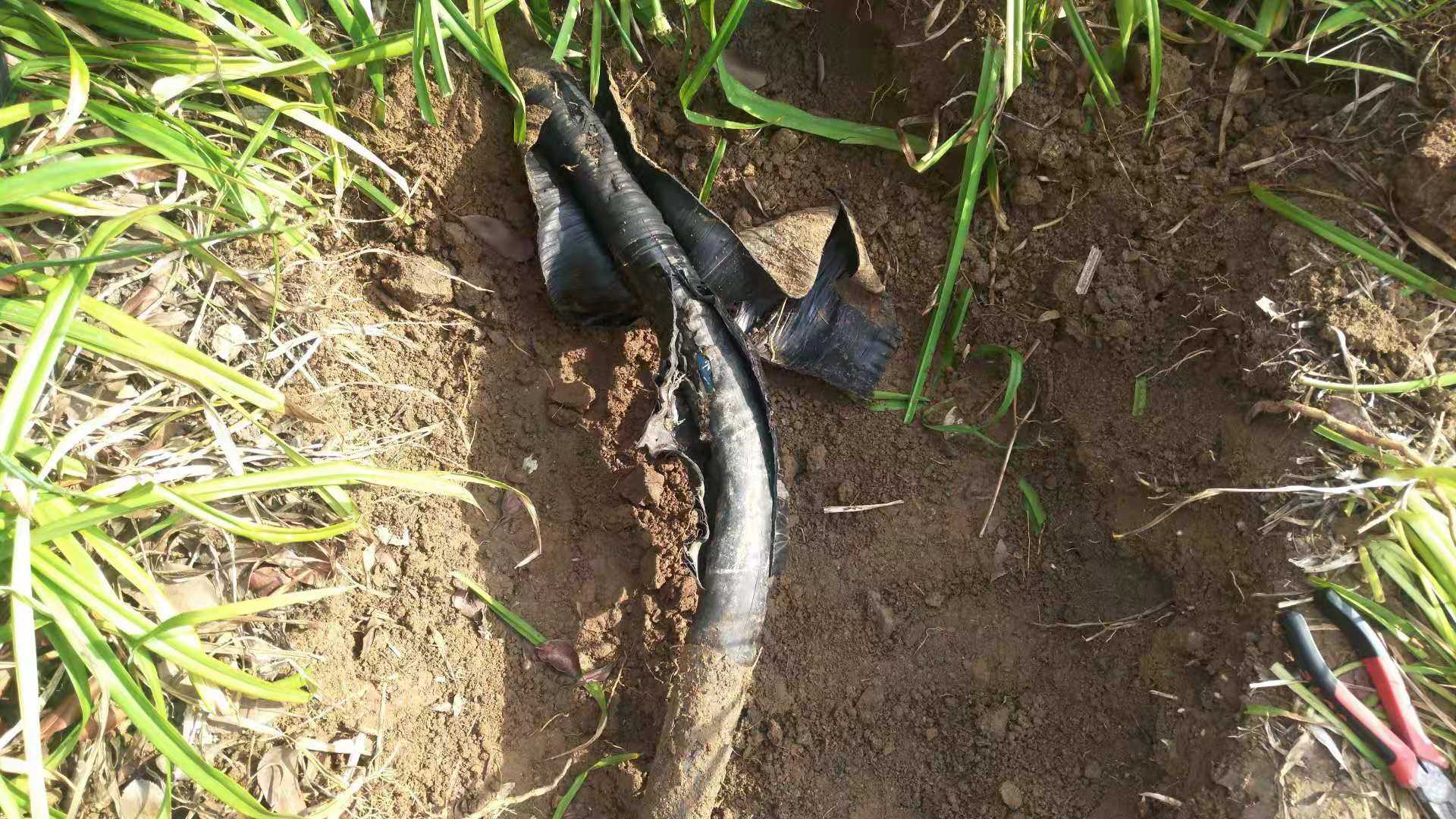 高壓電橋故障測(cè)試儀怎么使用